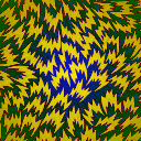 NFPP 1